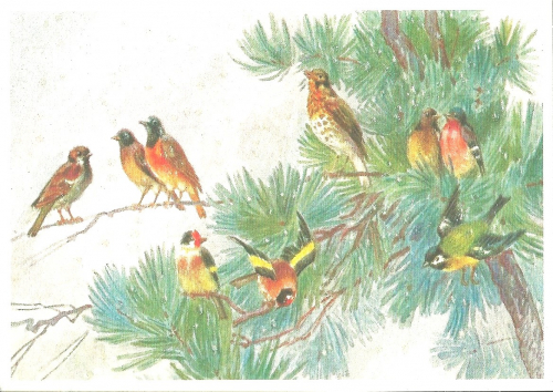 Postkarte Sortiment Weihnachten beglittert 6Wg041