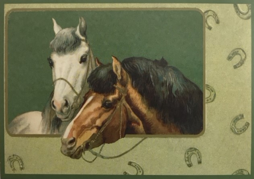 Glückwunschpostkarte ohne Veredelung (A6) 6Gn075