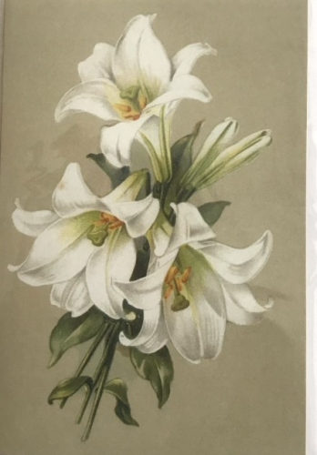 Karte mit Umschlag  U137