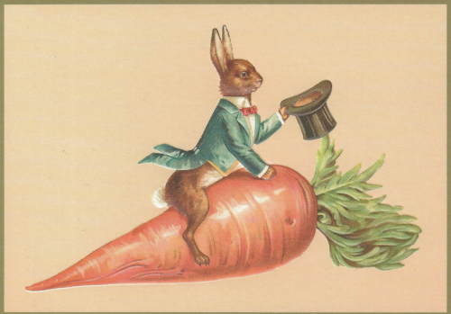 Postkarte Sortiment vermenschlichte Tiere geprägt 6Vp007