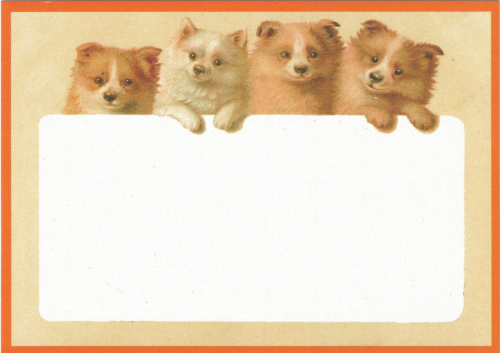 Postkarte vermenschlichte Tiere Format A6 unveredelt 6Vn027