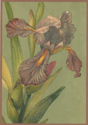 Glückwunschpostkarte beglittert 6Gg128