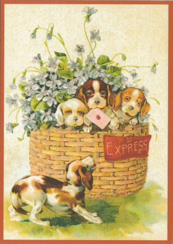 Postkarte vermenschlichte Tiere beglittert 6Vg030