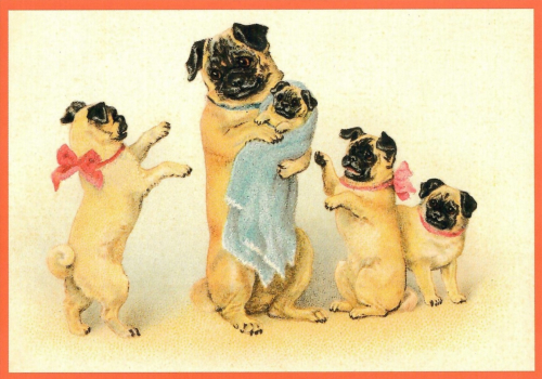 Postkarte vermenschlichte Tiere beglittert 6Vg044