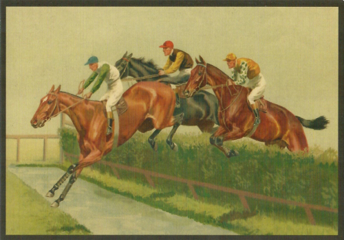 Postkartenset Pferde M14