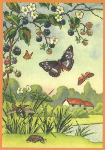 Glückwunschpostkarte beglittert 6Gg167