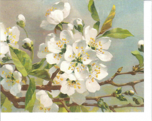 Midikarten mit Umschlag mU001