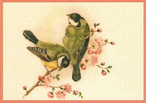 Postkartenset Vögel M15