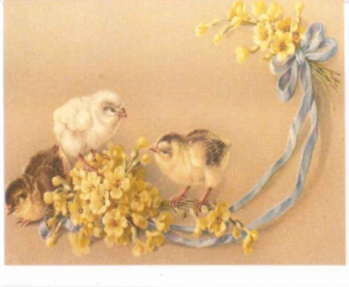 Midikarten mit Umschlag mU023