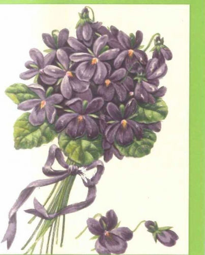 Midikarten mit Umschlag mU019