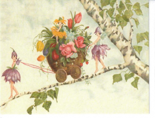 Midikarten mit Umschlag mU021