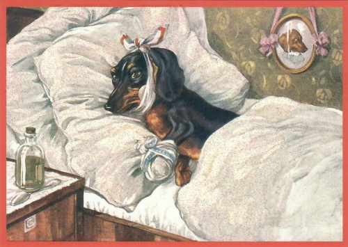 Postkarte vermenschlichte Tiere beglittert 6Vg081