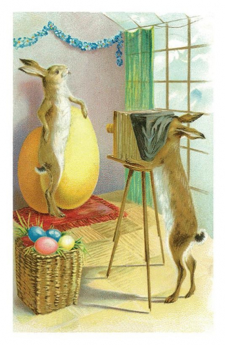 Vermenschlichte Tierkarte V048