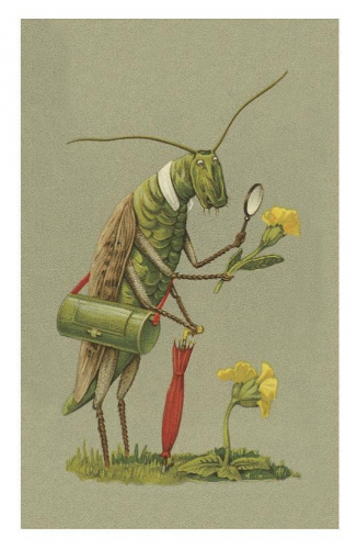 Vermenschlichte Tierkarte V081