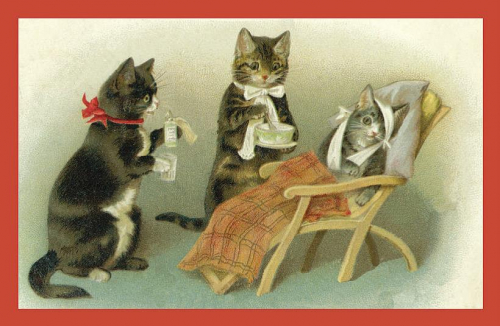 Vermenschlichte Tierkarte V088