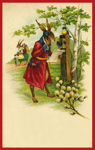 Vermenschlichte Tierkarte V023