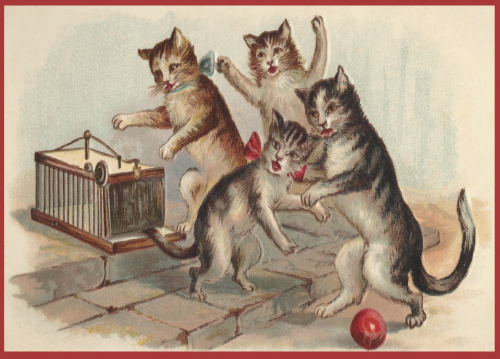 vermenschlichte Tiere V119