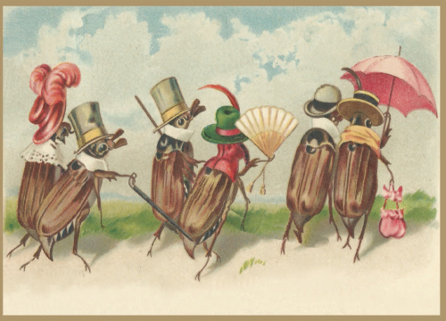 Vermenschlichte Tierkarte V109