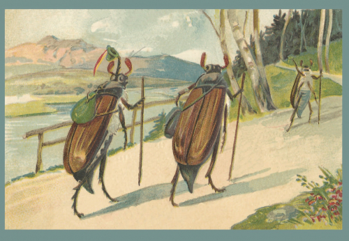 Vermenschlichte Tierkarte V112