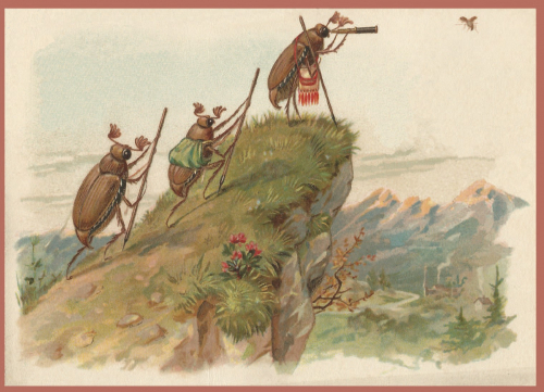 Vermenschlichte Tierkarte V114