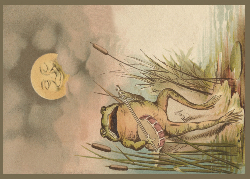 Vermenschlichte Tierkarte V116