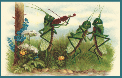 Vermenschlichte Tierkarte V141