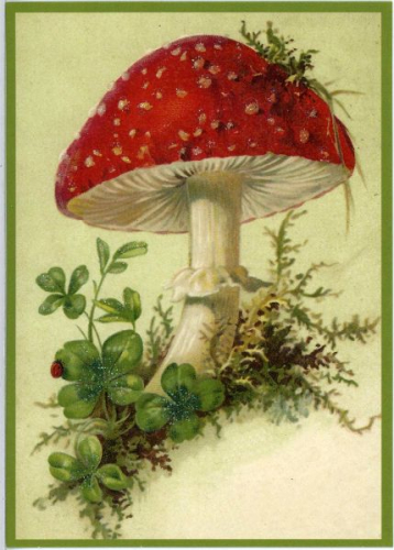 Glückwunschpostkarte beglittert 6Gg007