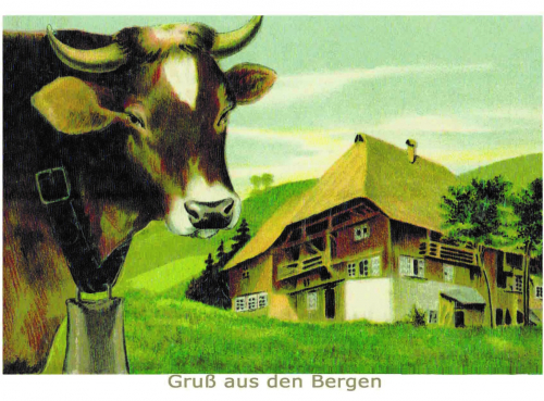 Glückwunschpostkarte ohne Veredelung (A6) 6Gn054