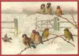 Postkarte Sortiment Weihnachten beglittert 6Wg018
