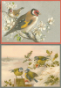Postkartenset Vögel M15