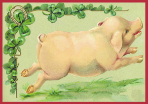 Postkartenset Schweine M12
