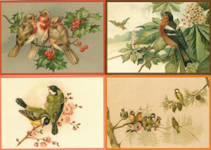Postkartenset Vögel M15