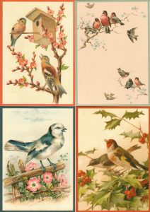 Postkartenset Vögel M15