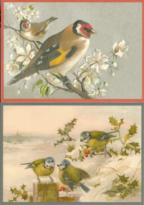 Postkartenset Vögel M15