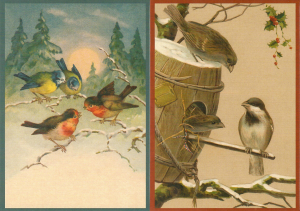 Postkartenset Vögel M15