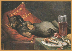 Postkarte vermenschlichte Tiere beglittert 6Vg089